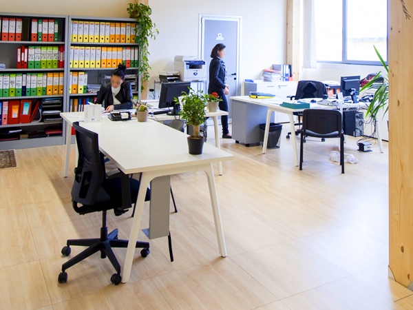 pratiche burocratiche elettriche Bologna Imola